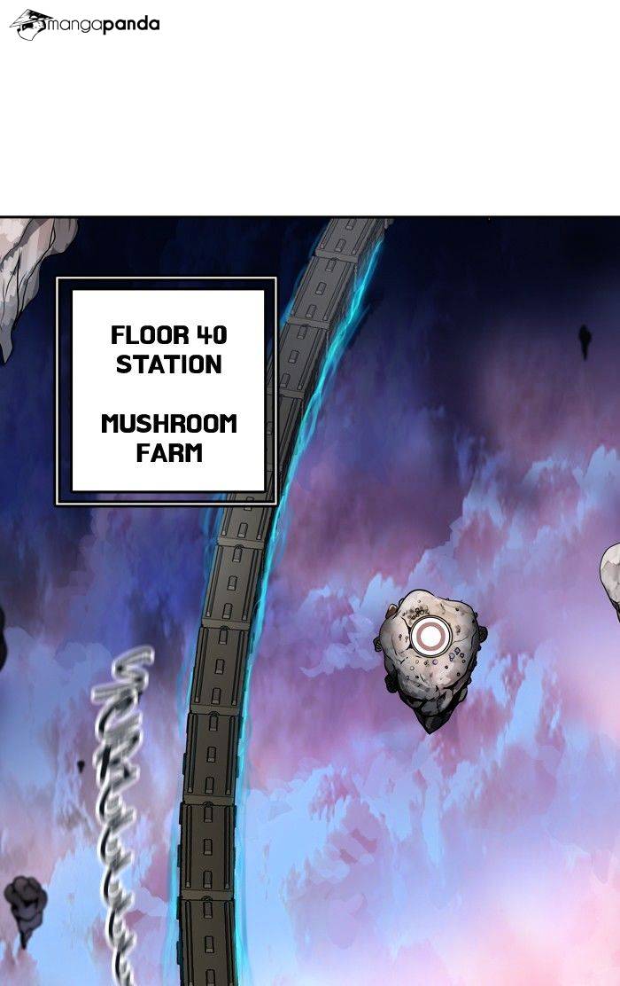 Tower of God Chapter 310 image 012